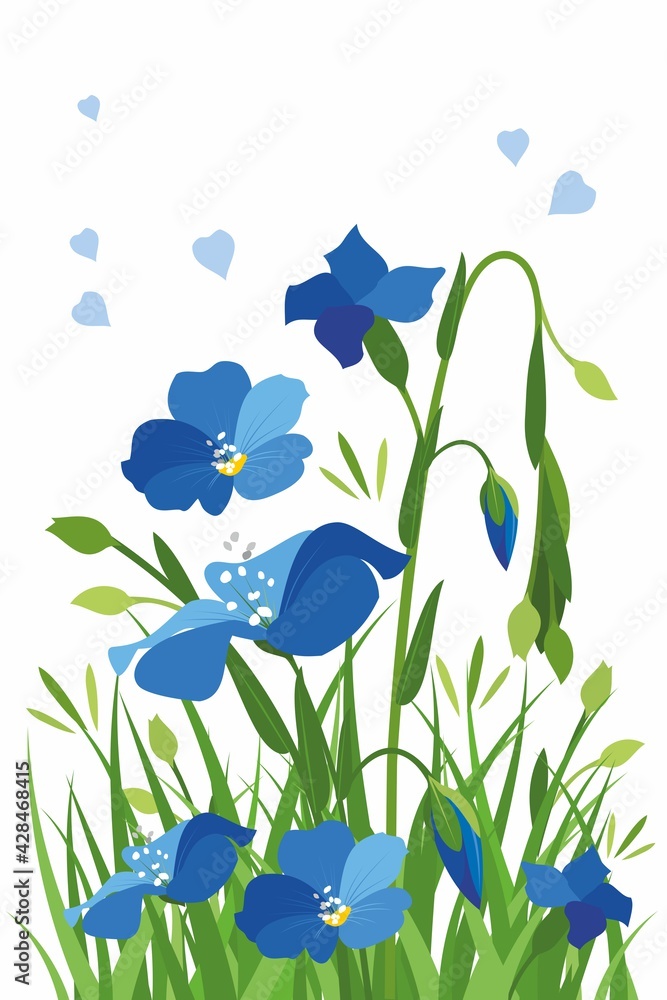 Blue flowers and grass on a white background. 