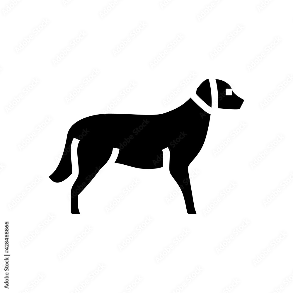 golden retriever dog line icon vector. golden retriever dog sign. isolated contour symbol black illustration