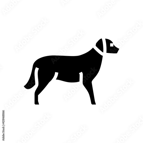 golden retriever dog line icon vector. golden retriever dog sign. isolated contour symbol black illustration