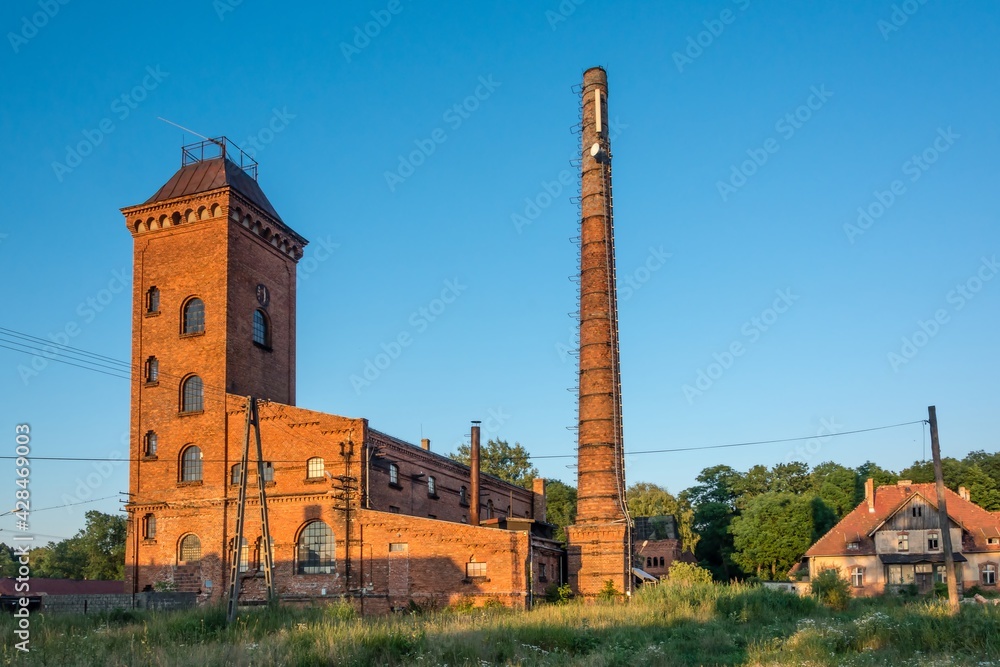 Kochcice