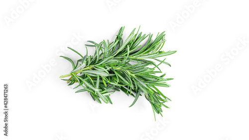 Rosemary isolated on white background.