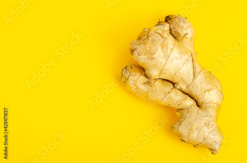 Whole unpeeled ginger root, top view. Photo