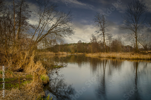 Widawka river in central Poland.