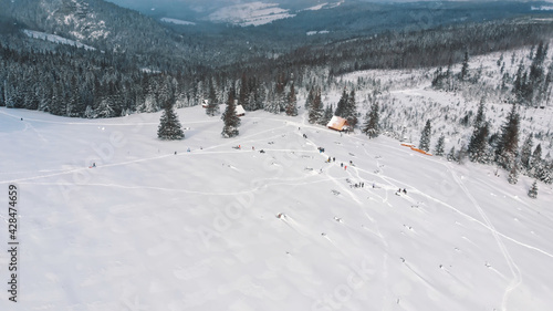 Idyllic winter scenery of evergreen forest on the mountain in winter snowy day. Aerial. High quality photo