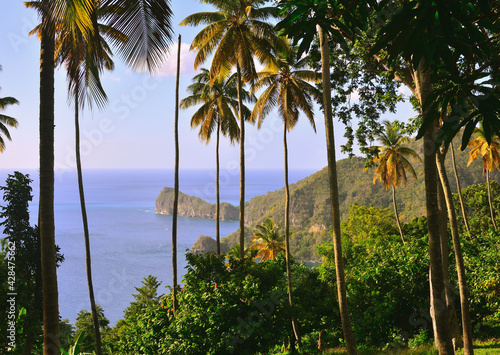 View of St. Lucia's Grand Caille Point through the Grid of Palm Trees