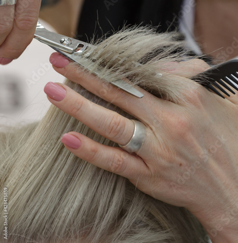 women hands a hairdresser who cut a strand of hair to a client. selective focus. High quality photo