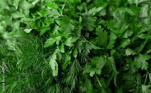 Dill and parsley. greenery. Dill, parsley background. Green on market shelf. Herbal and salad texture
