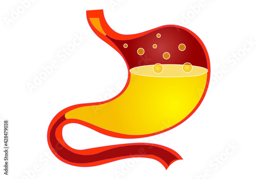 Stomach anatomy icon. Digestive system organ section diagram. Red body, yellow liquid, gas bubbles. Gastric disease. Medical draw graphic. Illustration vector