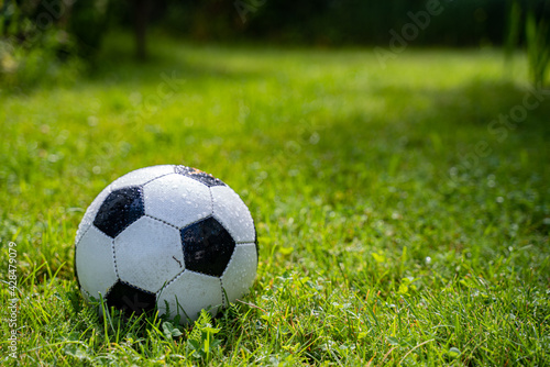 Football lies on wet grass © Pavel
