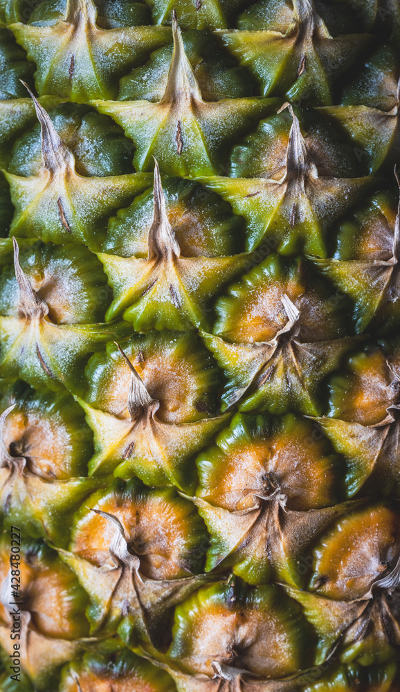 Close up image of a pineapple, showing the texture of the rough skin Close up image of a pineapple, showing the texture of the rough skin