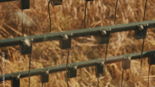 Closeup of a grain header of a modern combine harvester in the wheat field. Cutter bar moving and rolling ready to cut and harvest crops. Concept of the season of cutting crops.  photo