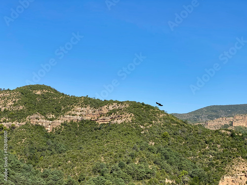Views of the Barranco de "A Peonera", in the Aragonese Pyrenees. Huesca, Spain