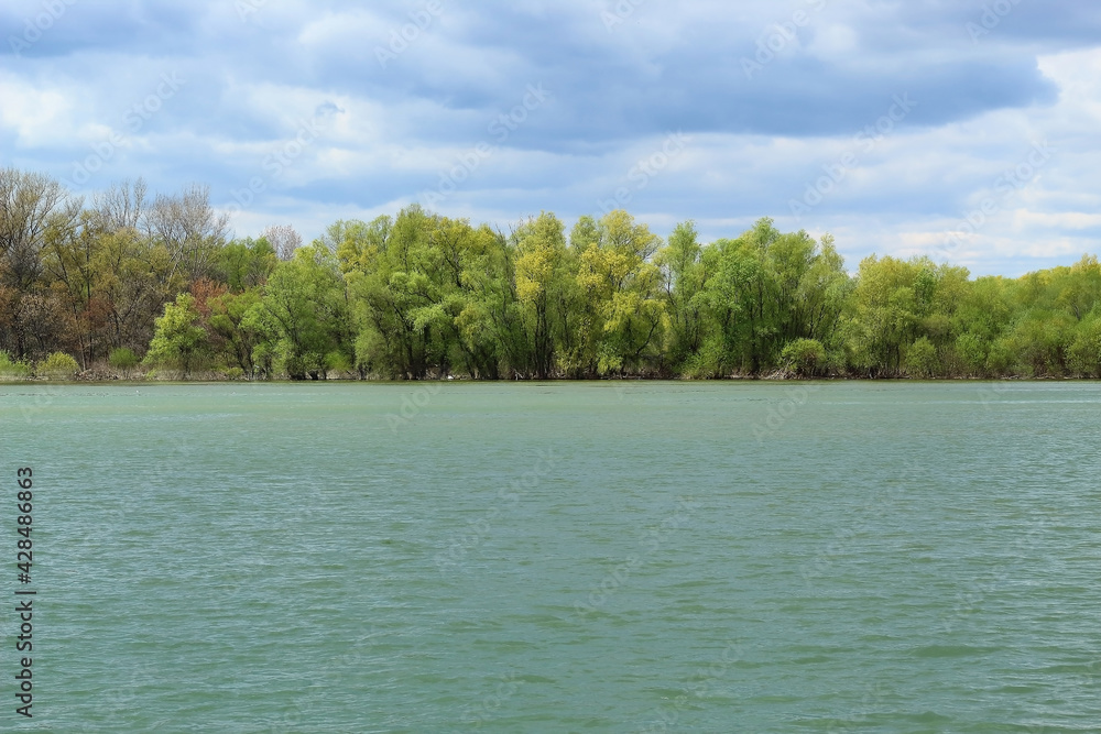 The Great War island in Belgrade with the forest and the confluence of the rivers Sava and Danube in spring