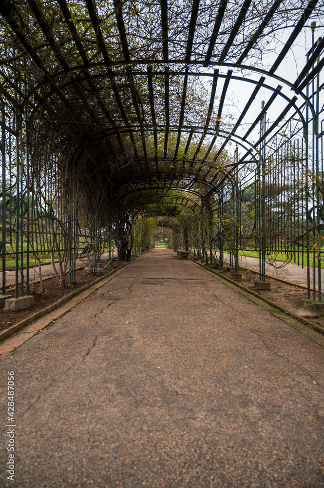 Flores del Jardín Botánico en Montevideo Uruguay Flores del Jardín Botánico en Montevideo Uruguay