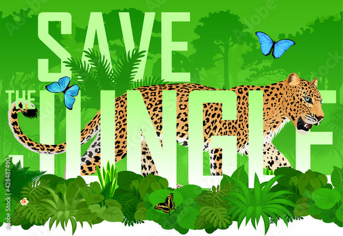 Vector seamless horizontal tropical rainforest Jungle background with jaguar and blue morpho butterfly