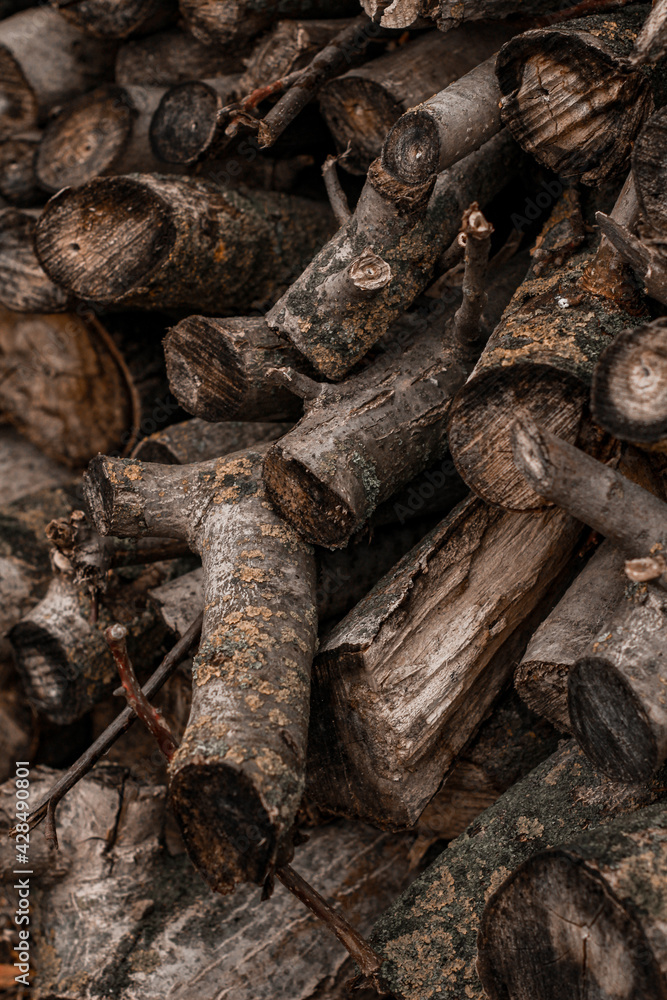 pile of firewood pile of firewood
