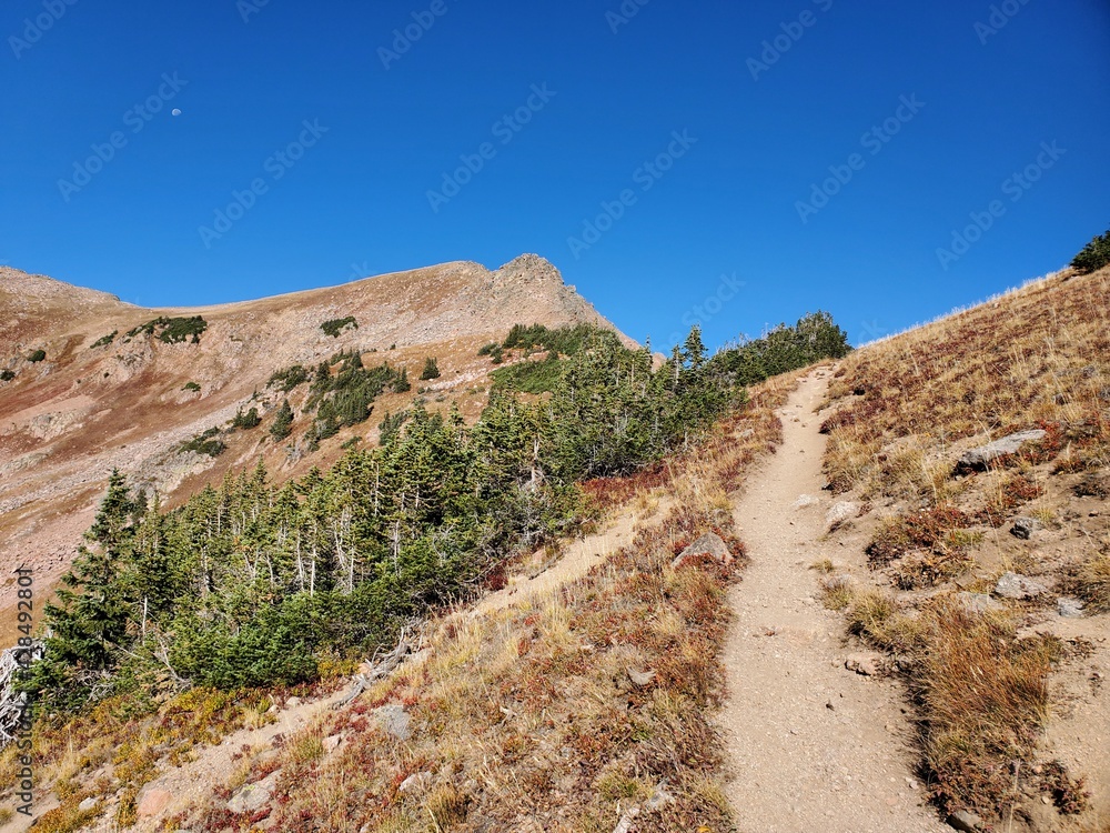 hiking path in the mountains
