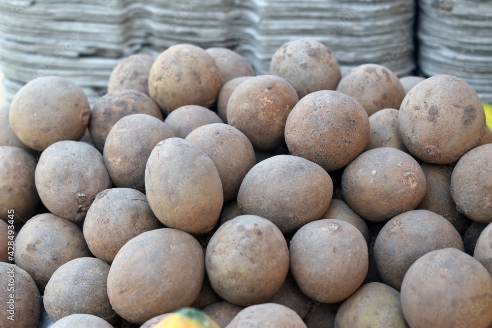 Closeup shot of Sapodillas bunch in the market, A bunch of sapodillas in a local market Closeup shot of Sapodillas bunch in the market, A bunch of sapodillas in a local market