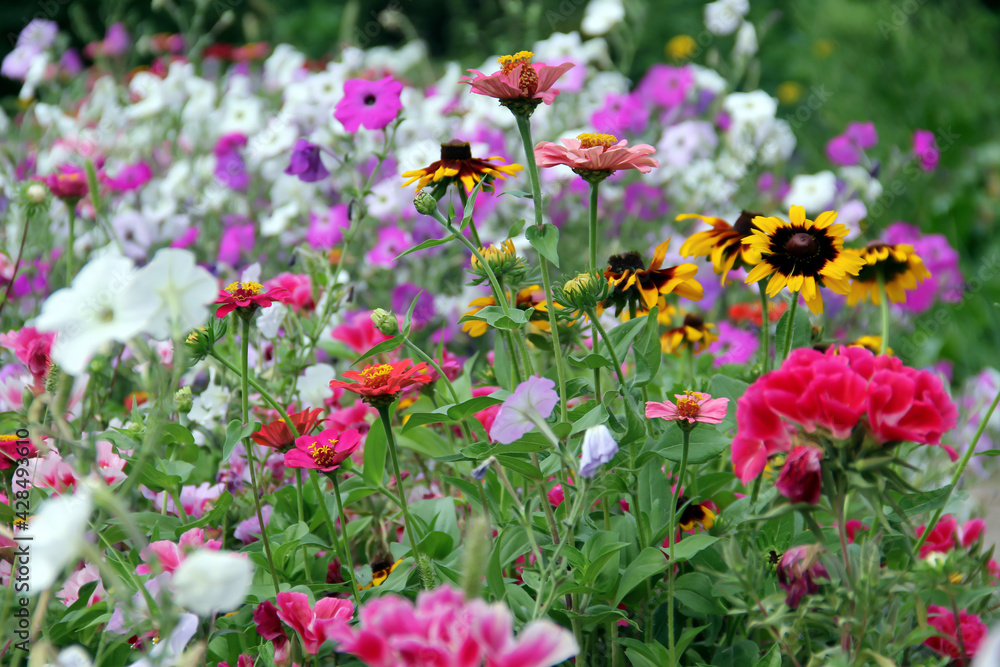 Soft focus of a variety of colorful flowers blooming at a garden in springtime