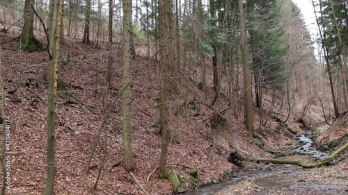 Polish mountains in spring/autumn, cloudy and windy day in Soszow, Wisla.