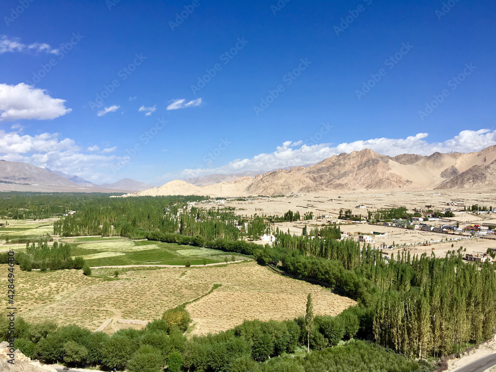 Beautiful view of Leh city and green Indus valley with the Leh palace in the middle, Jammu and Kashmir, India.M
