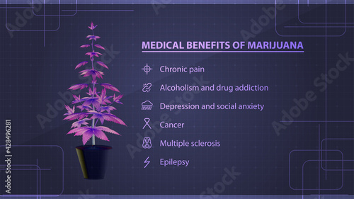 Medical benefits of marijuana, poster with pink digital marijuana bush with infographic with Medical benefits