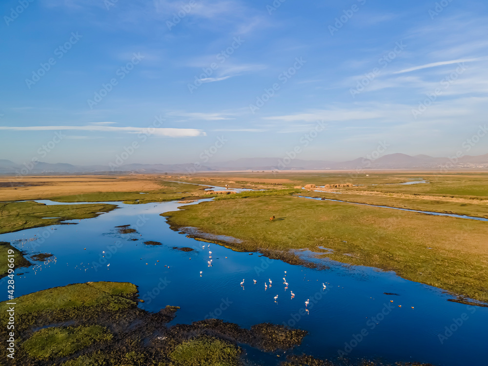 Many Pink Flamingos flying above a wetland, top view, in Kayseri city Many Pink Flamingos flying above a wetland, top view, in Kayseri city