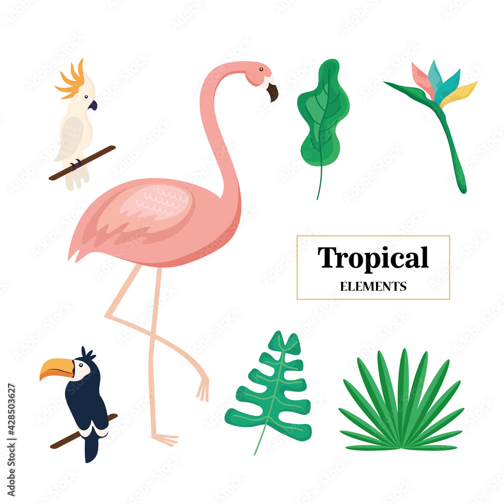 Fototapeta premium three tropical animals