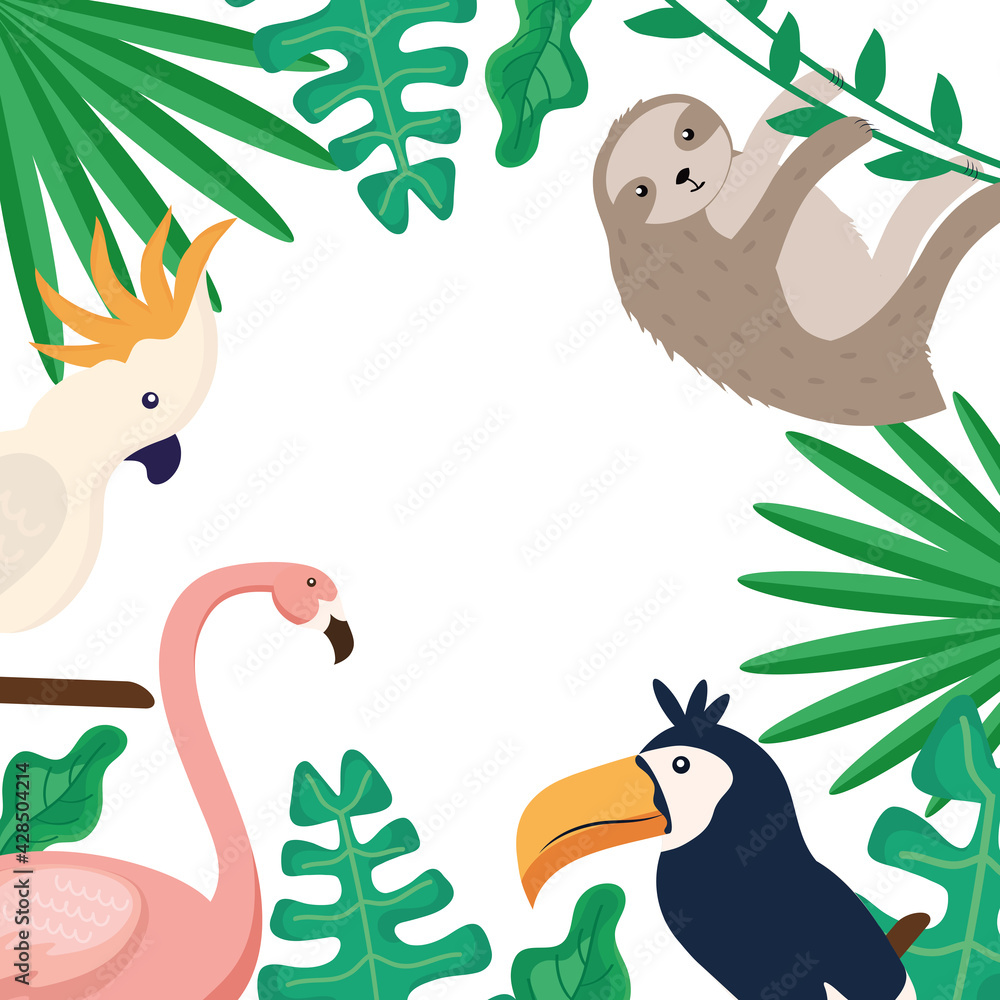 Fototapeta premium tropical animals frame