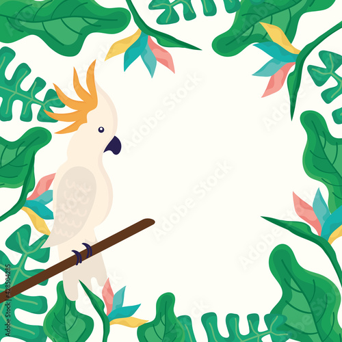 ara in tropical frame
