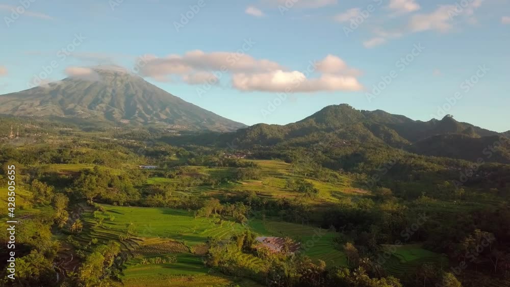 Rice fields and plantations with the background of Mount Sumbing and Mount Giyanti Rice fields and plantations with the background of Mount Sumbing and Mount Giyanti