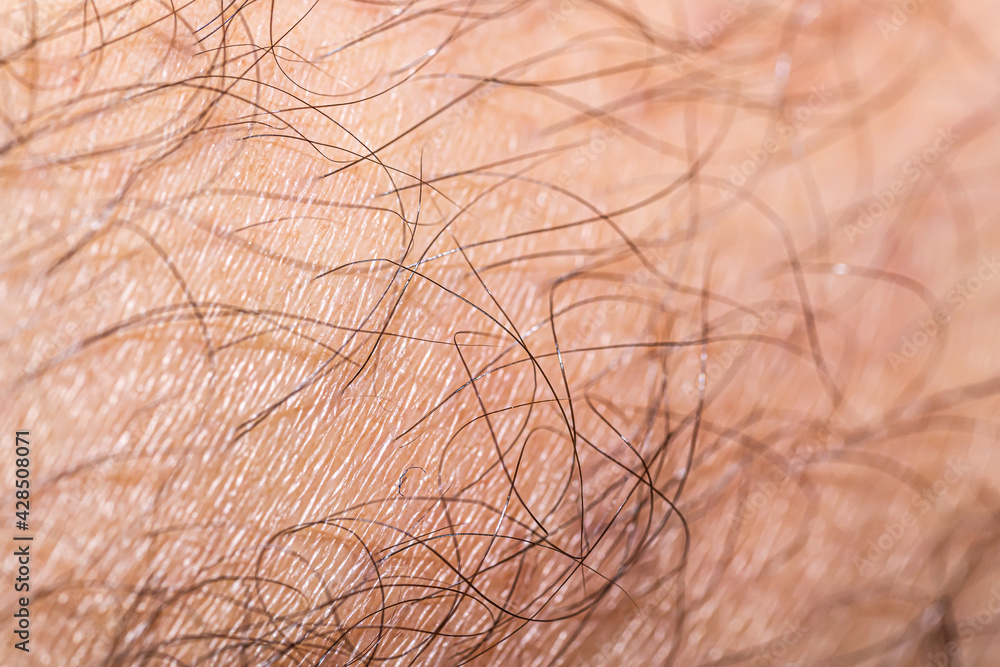 Fototapeta premium Very detailed close-up at human skin, covered with skin hair.