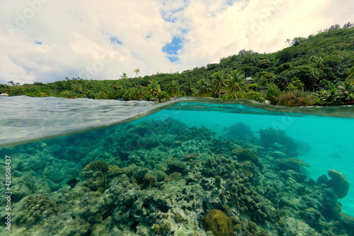plage et coraux de bora bora - polynesie francaise