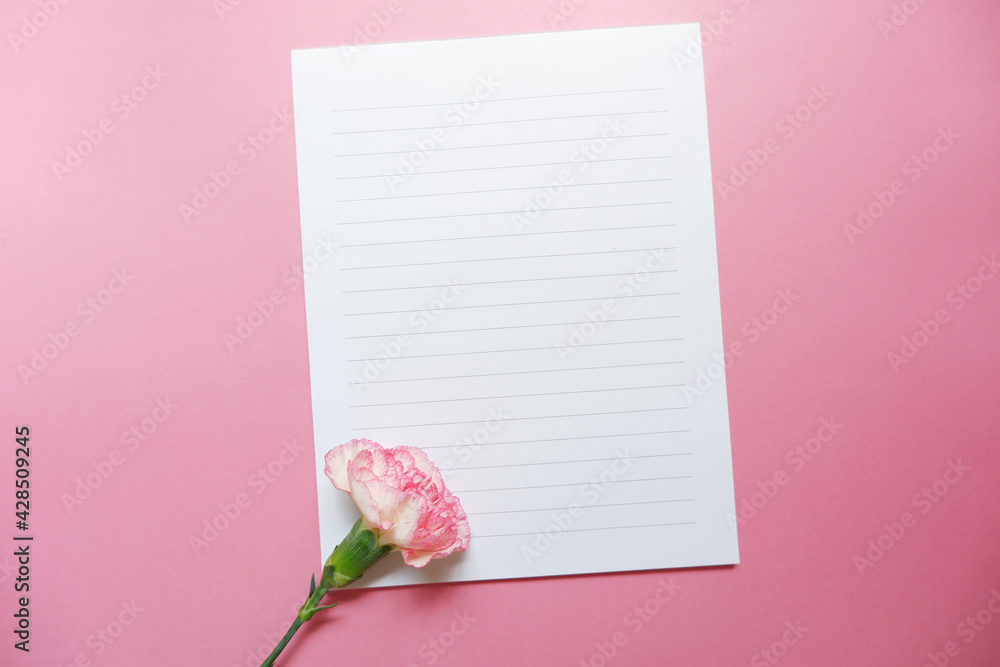 Pink Carnation flowers with blank letter papers set. Mother's day, Father's day, Women's day, Wedding and Birth day background. ピンクカーネーションと手紙セット、母の日素材、母の日背景 Pink Carnation flowers with blank letter papers set. Mother's day, Father's day, Women's day, Wedding and Birth day background. ピンクカーネーションと手紙セット、母の日素材、母の日背景