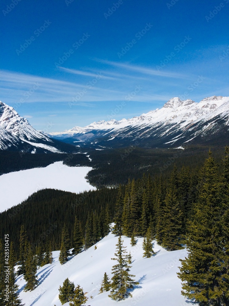 Spectacular view of the Icefield Parkway 