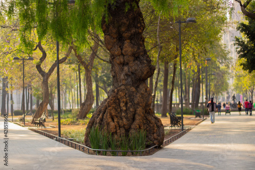 alley in the park