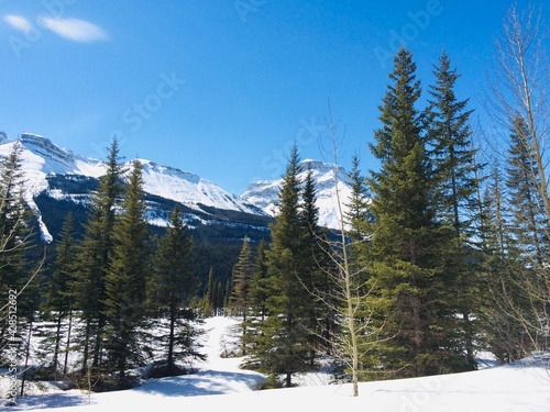 Spectacular view of the Icefield Parkway 