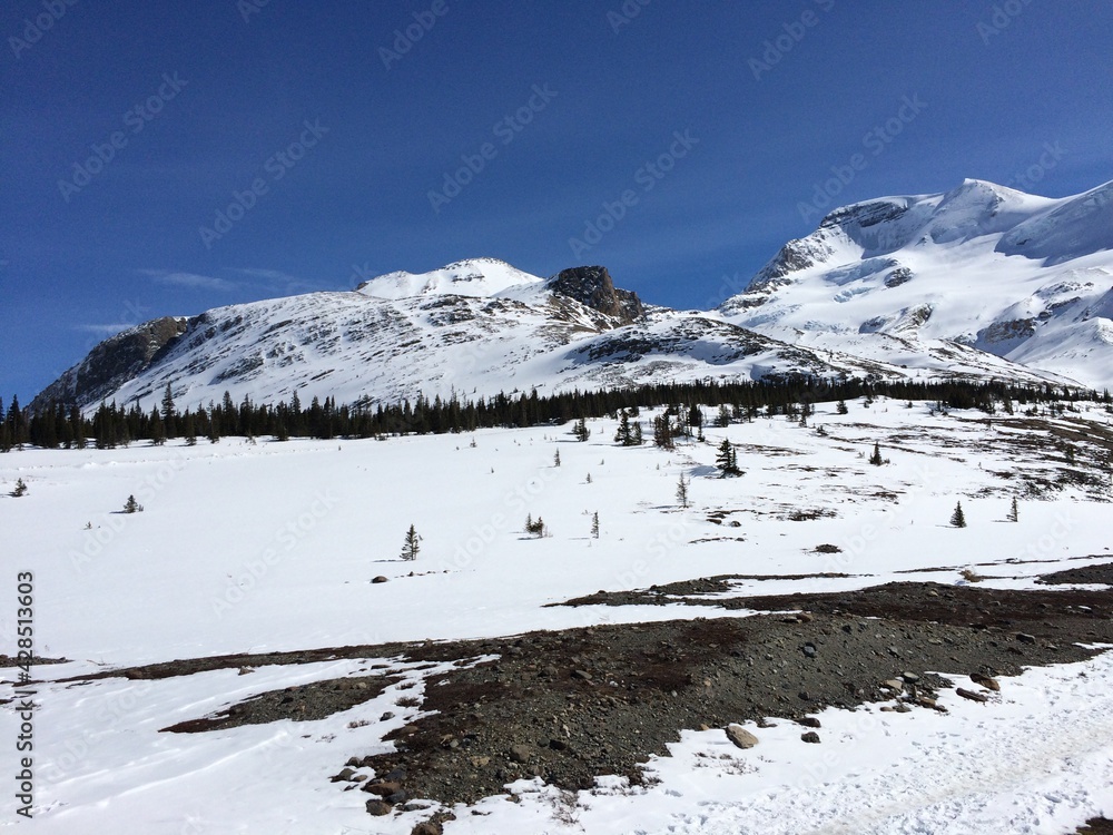 Fototapeta premium Spectacular view of the Icefield Parkway 