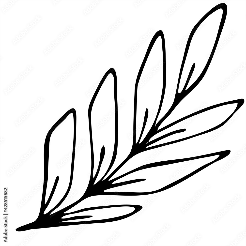tropical leaves, vector doodle element, coloring, black and white