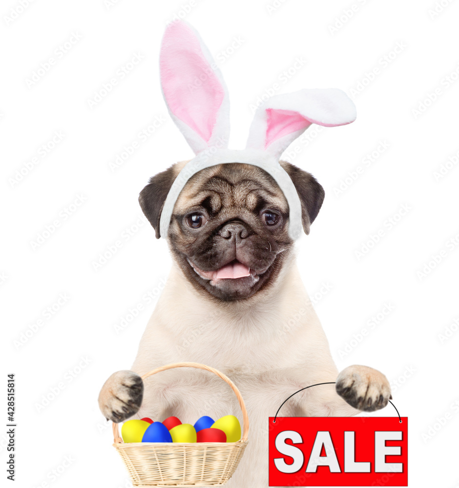 Funny Pug puppy wearing easter rabbits ears holds sales symbol and basket of colorful eggs. Isolated on white background