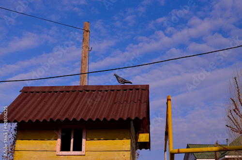 a pigeon on the roof of a yellow house and a blue sky with clouds