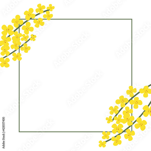 Flower square frame made of rapeseed. Hand-drawn floral border with copy space. Yellow cartoon canola brunch, greeting card template, invitations, design element. All objects are isolated.