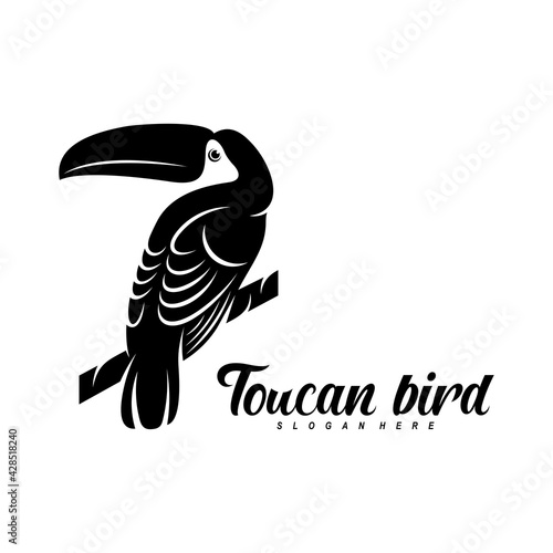 Toucan bird vector illustration design. Creative design