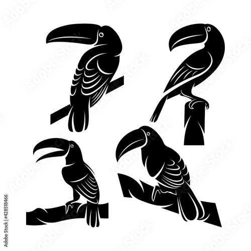Set of toucan bird vector illustration design. Creative design