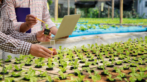 Smart agriculture technology concept - Farmer ckecking water ph value of organic hydroponic red oak in plant nursery farm. Smart agriculture photo