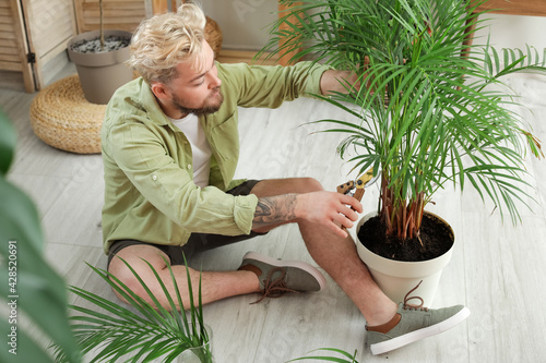 Young man taking care of pl...