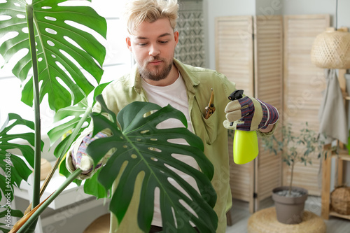 Young man taking care of pl...