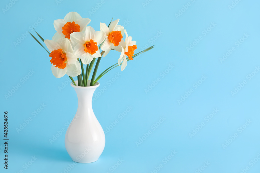 Vase with beautiful daffodils on color background Vase with beautiful daffodils on color background