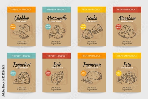 Cheese posters. Gourmet food vintage sketch. Organic cheesy snacks menu design. Farm dairy products package. Natural fresh edam and cheddar labels mockup. Vector cardboard stickers set