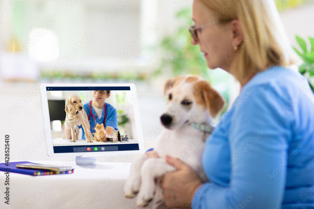 Online consultation with veterinarian doctor. Online consultation with veterinarian doctor.